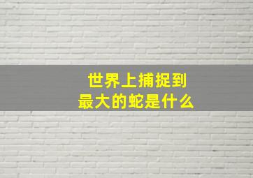 世界上捕捉到最大的蛇是什么