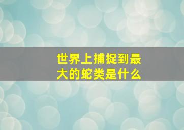 世界上捕捉到最大的蛇类是什么