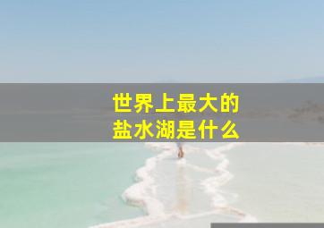 世界上最大的盐水湖是什么