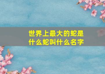 世界上最大的蛇是什么蛇叫什么名字