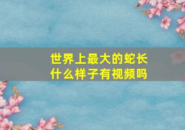 世界上最大的蛇长什么样子有视频吗