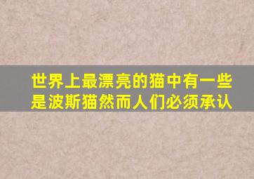 世界上最漂亮的猫中有一些是波斯猫然而人们必须承认