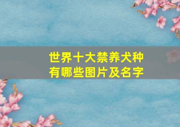 世界十大禁养犬种有哪些图片及名字