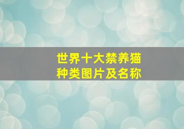 世界十大禁养猫种类图片及名称