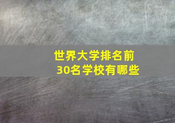 世界大学排名前30名学校有哪些