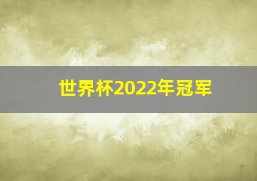 世界杯2022年冠军