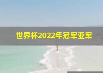 世界杯2022年冠军亚军