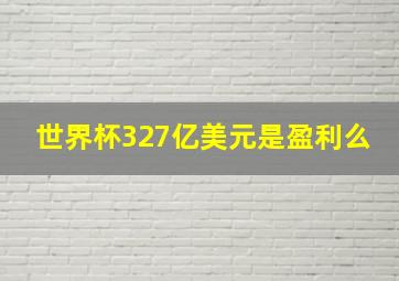 世界杯327亿美元是盈利么