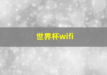 世界杯wifi