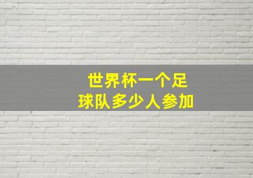 世界杯一个足球队多少人参加