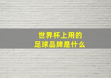 世界杯上用的足球品牌是什么