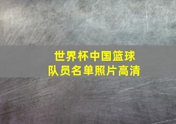 世界杯中国篮球队员名单照片高清