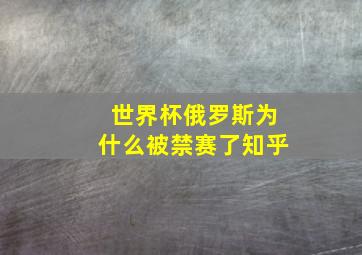 世界杯俄罗斯为什么被禁赛了知乎