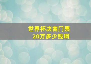 世界杯决赛门票20万多少钱啊