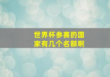 世界杯参赛的国家有几个名额啊