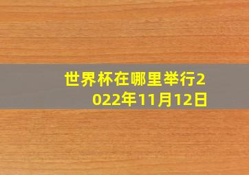 世界杯在哪里举行2022年11月12日