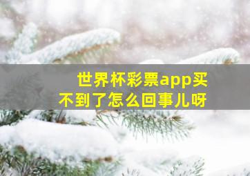 世界杯彩票app买不到了怎么回事儿呀