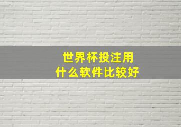 世界杯投注用什么软件比较好