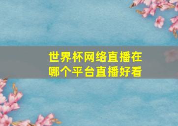 世界杯网络直播在哪个平台直播好看