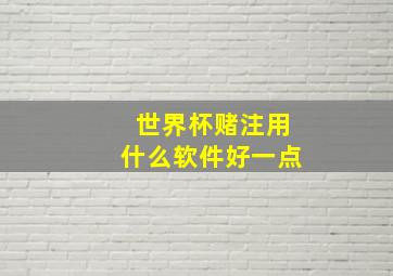 世界杯赌注用什么软件好一点