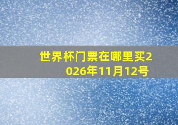 世界杯门票在哪里买2026年11月12号