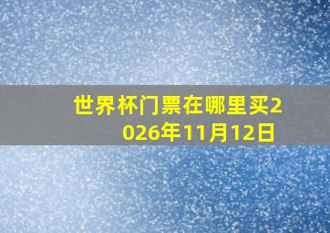 世界杯门票在哪里买2026年11月12日