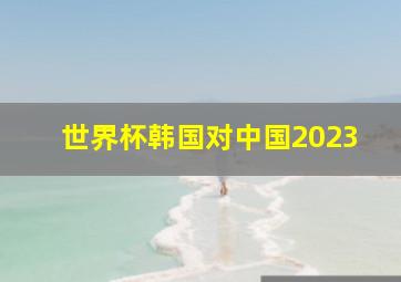 世界杯韩国对中国2023