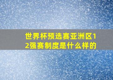 世界杯预选赛亚洲区12强赛制度是什么样的