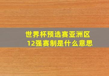 世界杯预选赛亚洲区12强赛制是什么意思