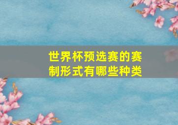 世界杯预选赛的赛制形式有哪些种类