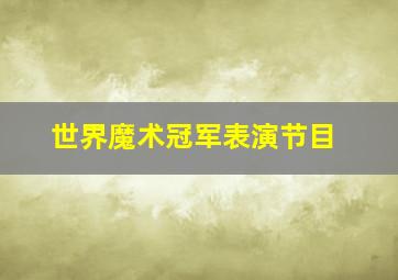 世界魔术冠军表演节目