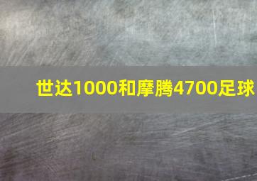 世达1000和摩腾4700足球