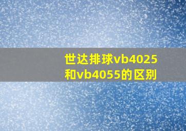 世达排球vb4025和vb4055的区别