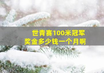 世青赛100米冠军奖金多少钱一个月啊