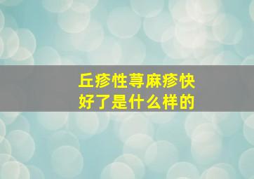 丘疹性荨麻疹快好了是什么样的