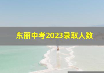 东丽中考2023录取人数