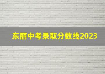 东丽中考录取分数线2023