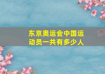 东京奥运会中国运动员一共有多少人