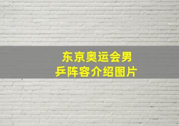 东京奥运会男乒阵容介绍图片