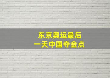 东京奥运最后一天中国夺金点