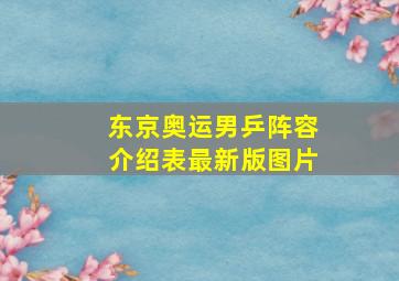 东京奥运男乒阵容介绍表最新版图片