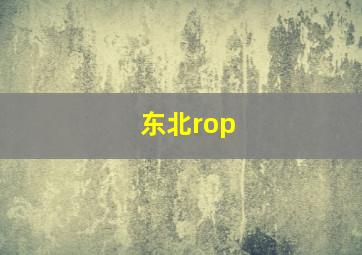 东北rop