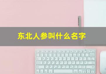 东北人参叫什么名字