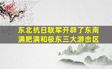 东北抗日联军开辟了东南满肥满和极东三大游击区