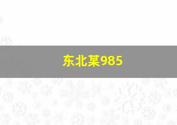 东北某985