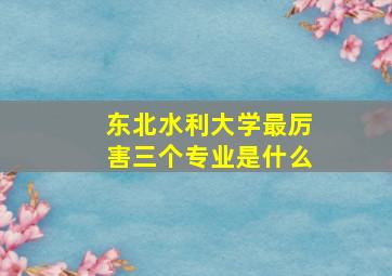 东北水利大学最厉害三个专业是什么