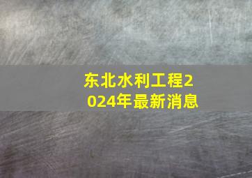 东北水利工程2024年最新消息