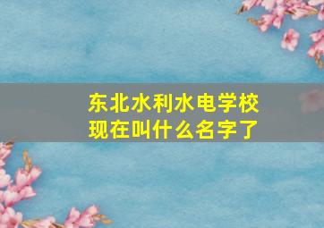 东北水利水电学校现在叫什么名字了