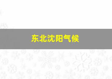 东北沈阳气候