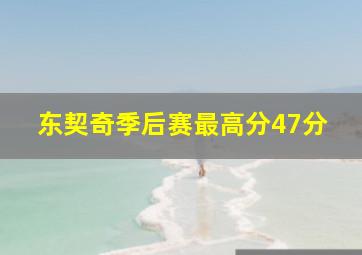 东契奇季后赛最高分47分